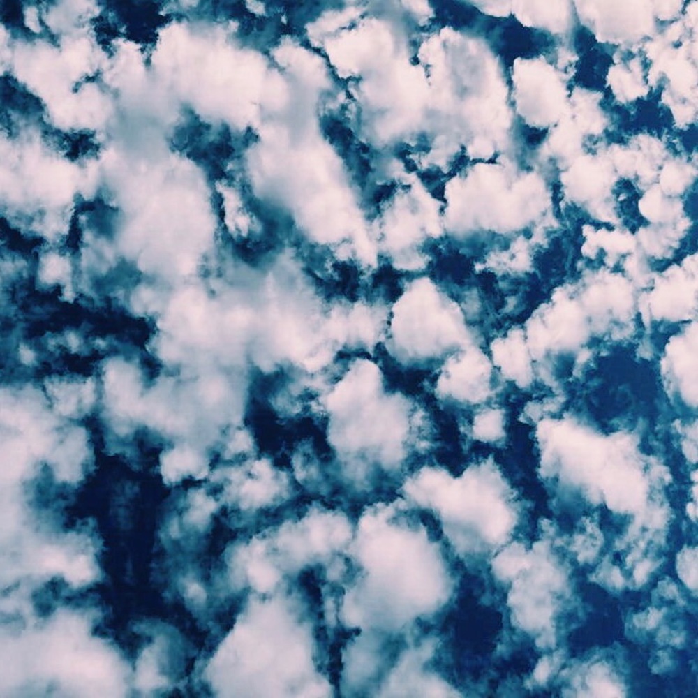 Meet your Posher, Ny